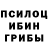 Псилоцибиновые грибы GOLDEN TEACHER tangui720