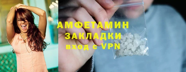 молекула духа Ладушкин