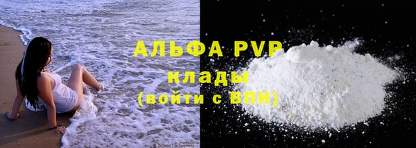 молекула духа Ладушкин