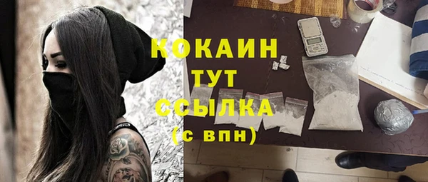 молекула духа Ладушкин