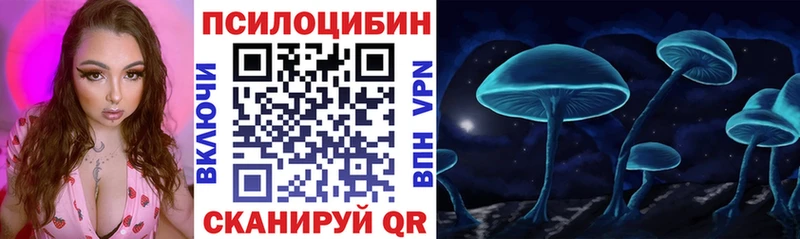 как найти закладки  Шимановск  kraken как зайти  Галлюциногенные грибы Psilocybe 